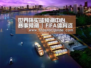 案例展示八