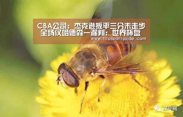 CBA公司:杰克逊扳平三分未走步 全场仅哈德森一漏判:世界杯盘口(图4) 世界杯投注