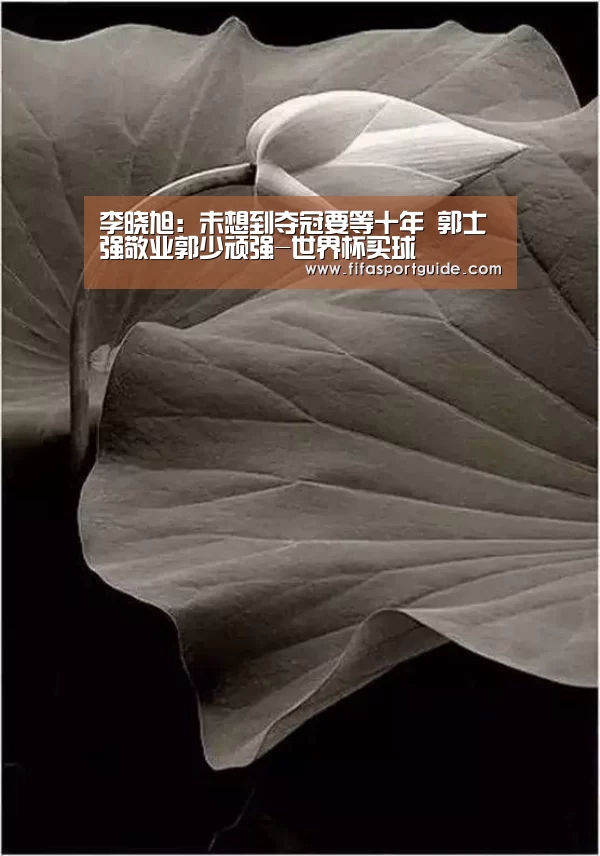 竞猜攻略