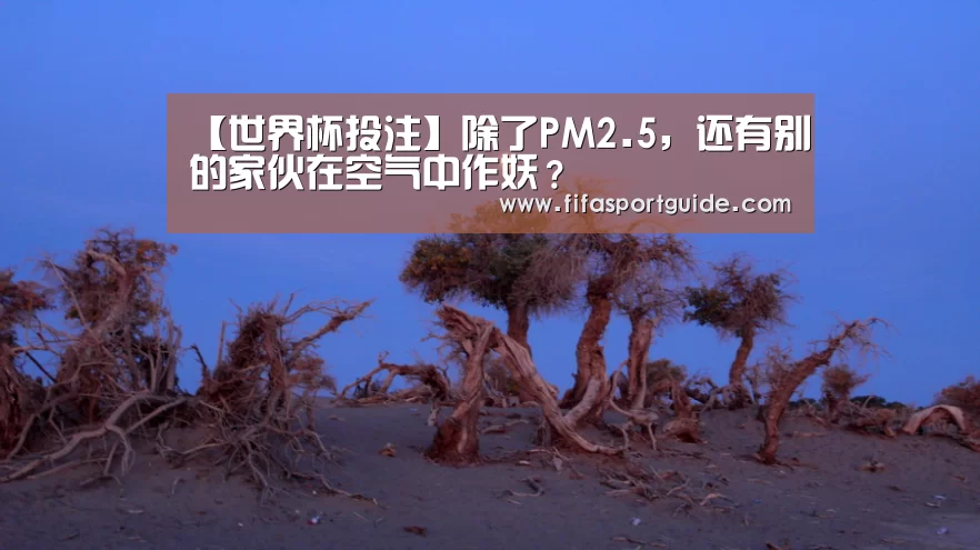 【世界杯投注】除了PM2.5,还有别的家伙在空气中作妖?(图3) 世界杯盘口