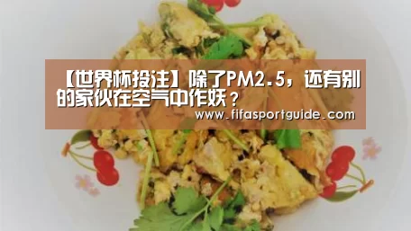 【世界杯投注】除了PM2.5,还有别的家伙在空气中作妖?(图1) 竞猜攻略
