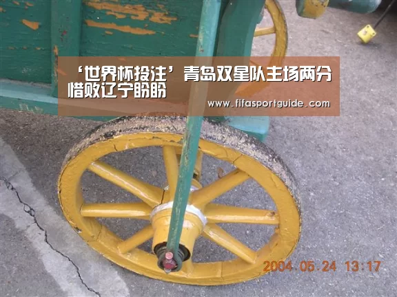 ‘世界杯投注’青岛双星队主场两分惜败辽宁盼盼(图4) 世界杯投注